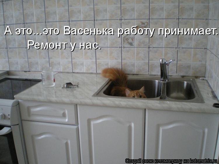 Котоматрица: А это...это Васенька работу принимает. Ремонт у нас.