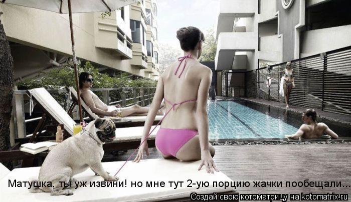 Котоматрица: Матушка, ты уж извини! но мне тут 2-ую порцию жачки пообещали...