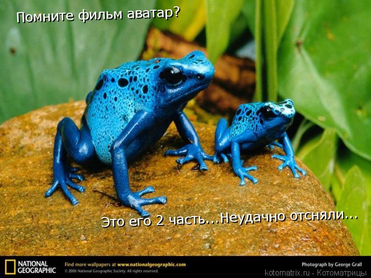 Котоматрица: Помните фильм аватар? Это его 2 часть...Неудачно отсняли... Это его 2 часть...Неудачно отсняли...