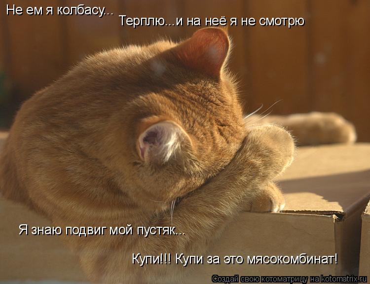Открытка котенок обиделся Открытка котенок обиделся