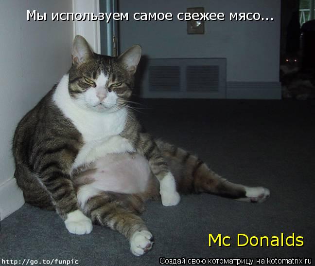 Котоматрица: Mc Donalds Мы используем самое свежее мясо...