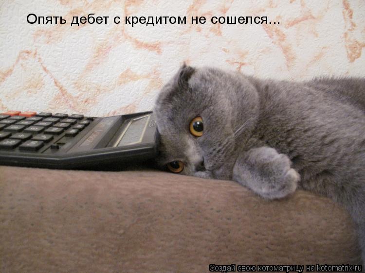Котоматрица: Опять дебет с кредитом не сошелся...