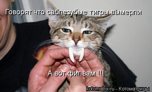 Котоматрица: Говорят что саблезубые тигры вымерли А вот фиг вам !!!