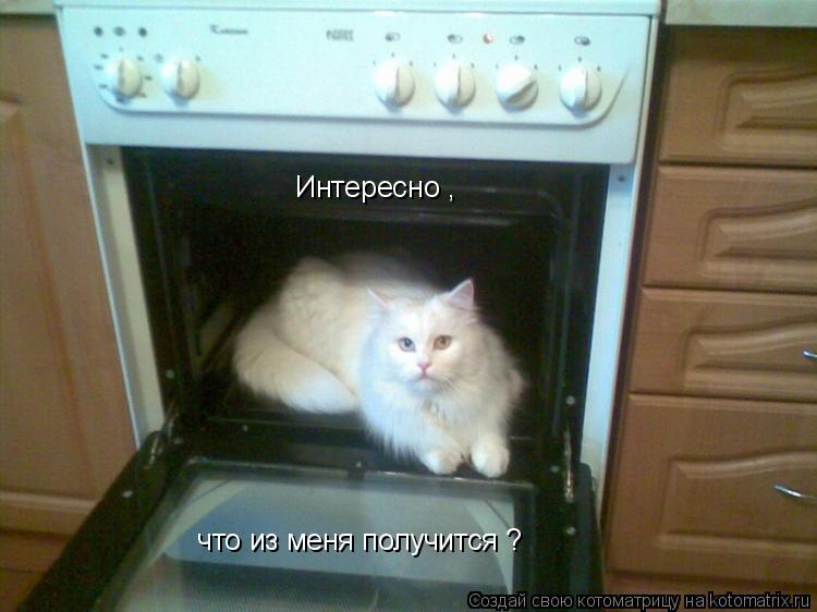 Котоматрица: Интересно ,   что из меня получится ?