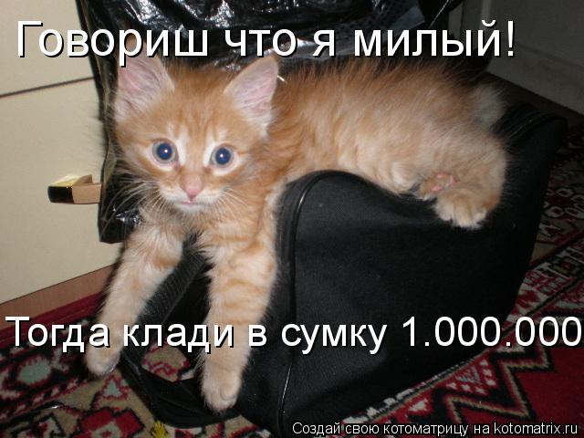 Котоматрица: Говориш что я милый! Тогда клади в сумку 1.000.000