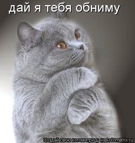 Котоматрица: дай я тебя обниму