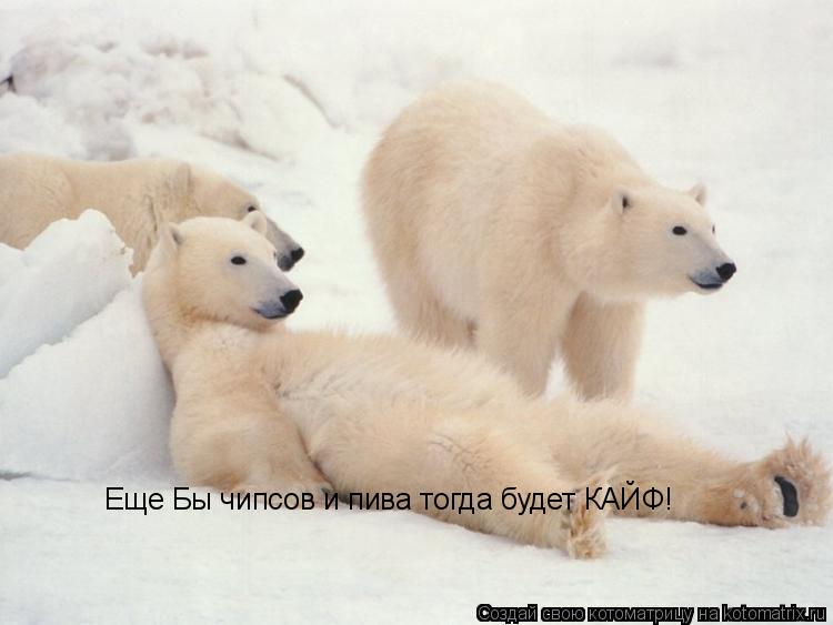 Котоматрица: Еще Бы чипсов и пива тогда будет КАЙФ!