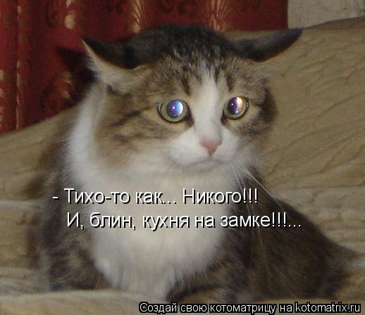 Котоматрица: - Тихо-то как... Никого!!! И, блин, кухня на замке!!!...