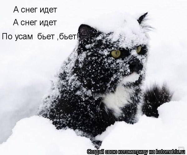 Котоматрица: А снег идет А снег идет По усам  бьет ,бьет По усам  бьет ,бьет!