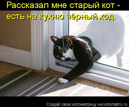 Рассказал мне старый кот - есть на кухню чёрный ход.... Котоматрица: Рассказал мне старый кот - есть на кухню чёрный ход.