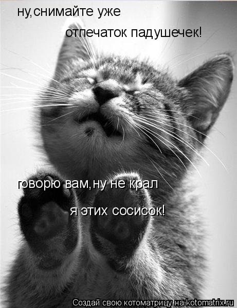 Котоматрица: ну,снимайте уже  отпечаток падушечек! говорю вам,ну не крал я этих сосисок!