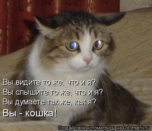 Вы видите то же, что и я? Вы слышите то же, что и я? Вы думаете так же, как я? Вы - кошка!... Котоматрица: Вы видите то же, что и я? Вы слышите то же, что и я? Вы думаете так же, как я? Вы - кошка!