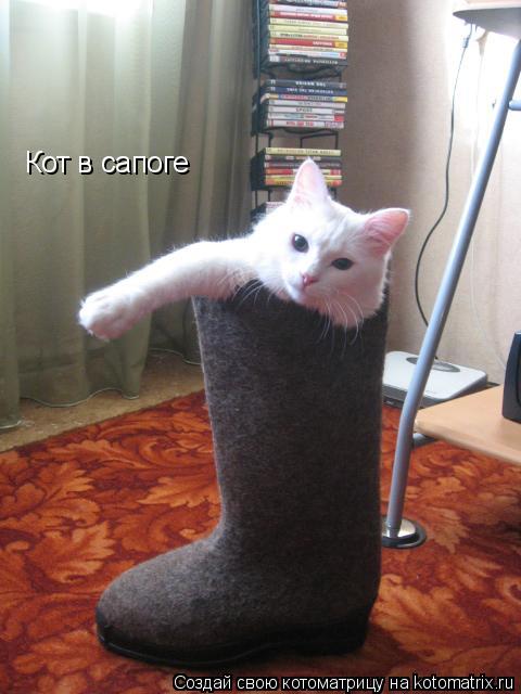 Котоматрица: Кот в сапоге