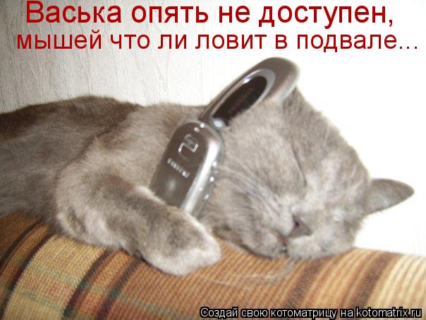 Котоматрица: Васька опять не доступен,  мышей что ли ловит в подвале...