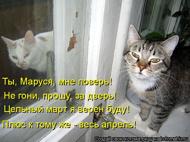 Ты, Маруся, мне поверь! Не гони, прошу, за дверь! Цельный март я верен буду! Плюс к тому же - весь ап... Котоматрица: Ты, Маруся, мне поверь! Не гони, прошу, за дверь! Цельный март я верен буду! Плюс к тому же - весь апрель!