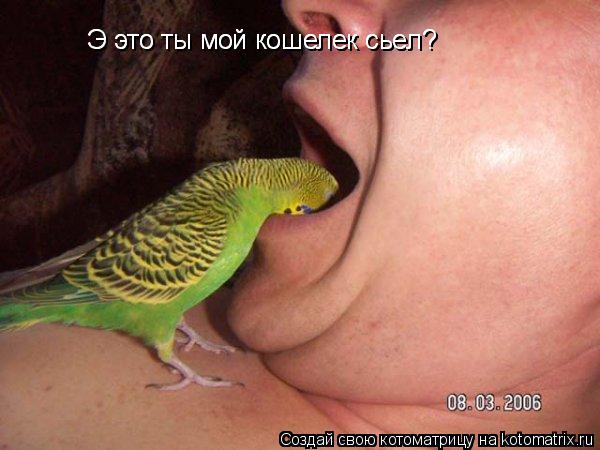 Котоматрица: Э это ты мой кошелек сьел? Э это ты мой кошелек сьел?