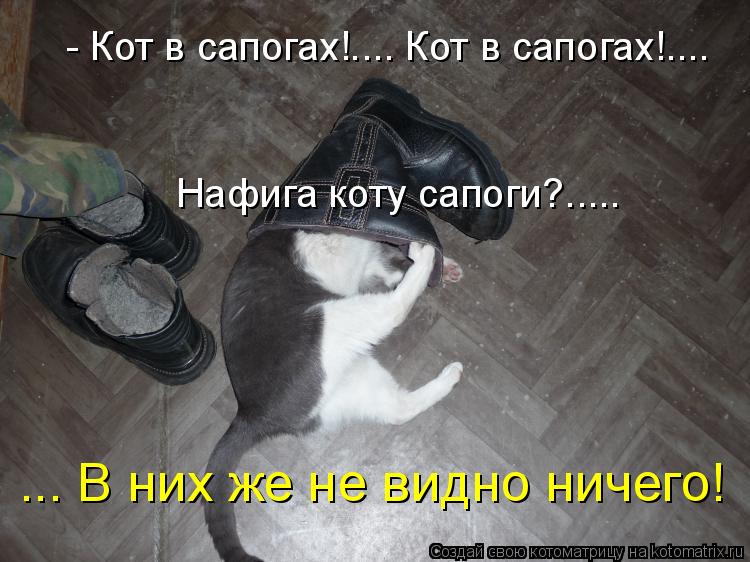 - Кот в сапогах!.... Кот в сапогах!.... Нафига коту сапоги?..... ... В них же не видно ничего!... Котоматрица: - Кот в сапогах!.... Кот в сапогах!.... Нафига коту сапоги?..... ... В них же не видно ничего!