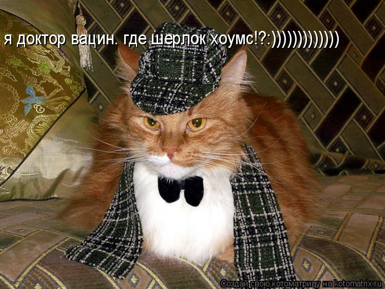 Котоматрица: я доктор вацин. где шерлок хоумс!?:)))))))))))))