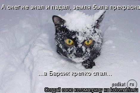 Котоматрица: А снег не знал и падал, земля была прекрасна ...а Барсик крепко спал...