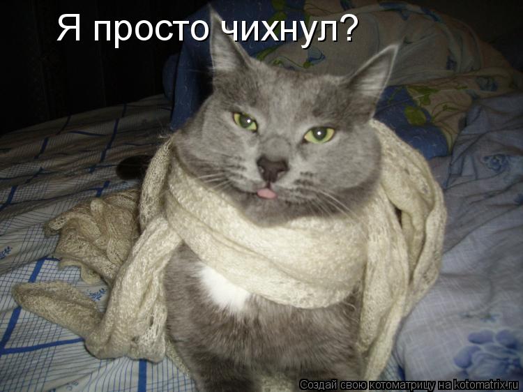 Котоматрица: Я просто чихнул?