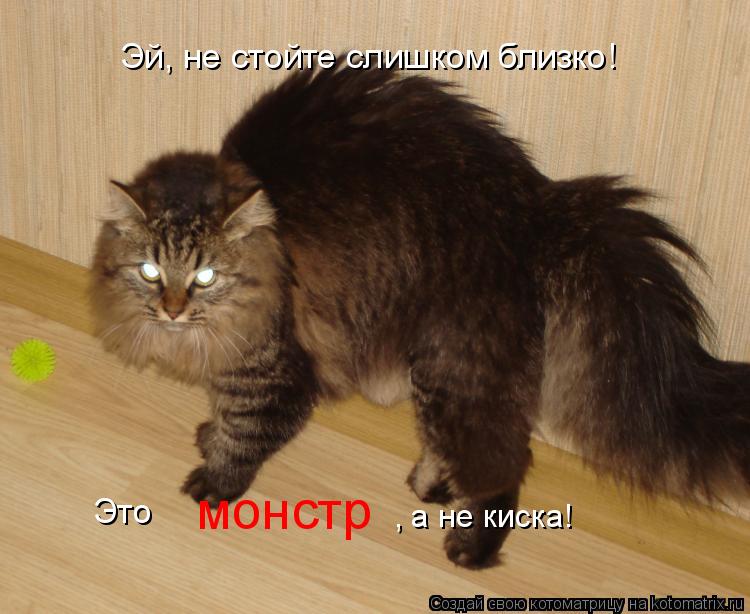 Котоматрица: Эй, не стойте слишком близко!  Это  монстр , а не киска!