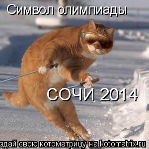 Котоматрица: СОЧИ 2014 Символ олимпиады