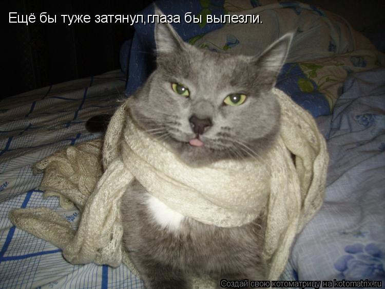 Котоматрица: Ещё бы туже затянул,глаза бы вылезли.