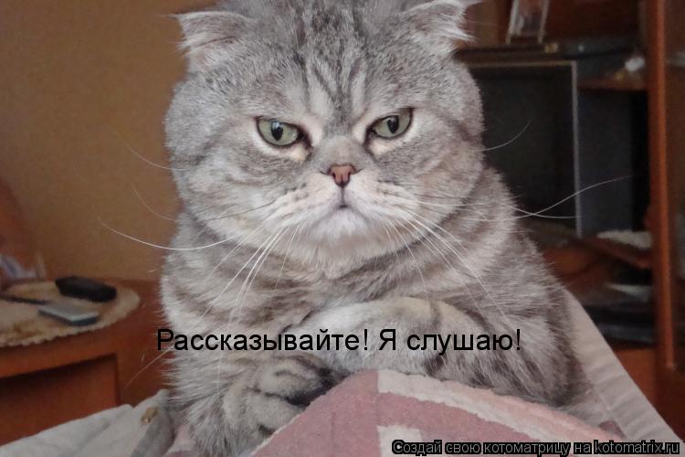 Котоматрица: Рассказывайте! Я слушаю!