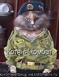 Котоматрица: Котяня-комбат