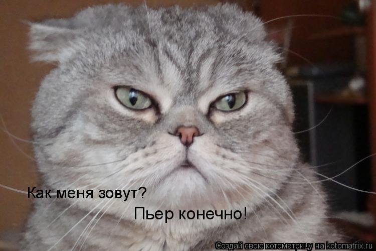 Котоматрица: Как меня зовут? Пьер конечно!