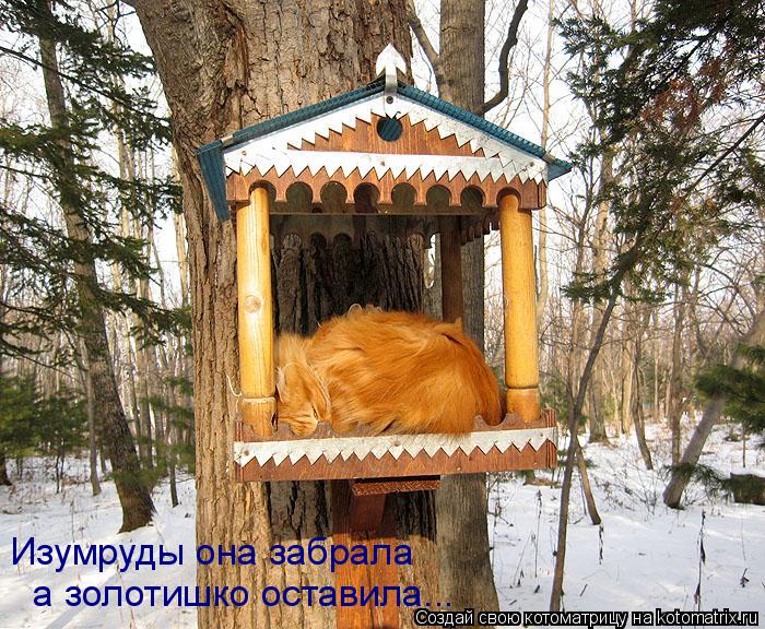Котоматрица: Изумруды она забрала  а золотишко оставила...
