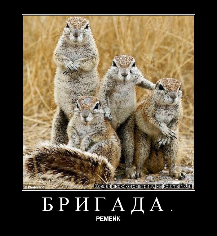 Котоматрица: БРИГАДА. РЕМЕЙК