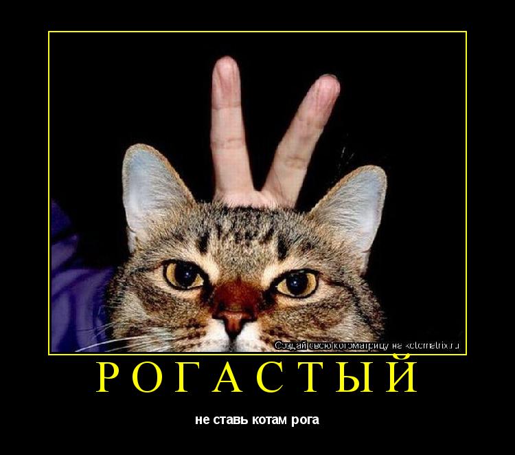 Котоматрица: рогастый не ставь котам рога