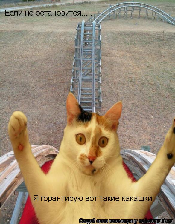 Котоматрица: Если не остановится..... Я горантирую вот такие какашки