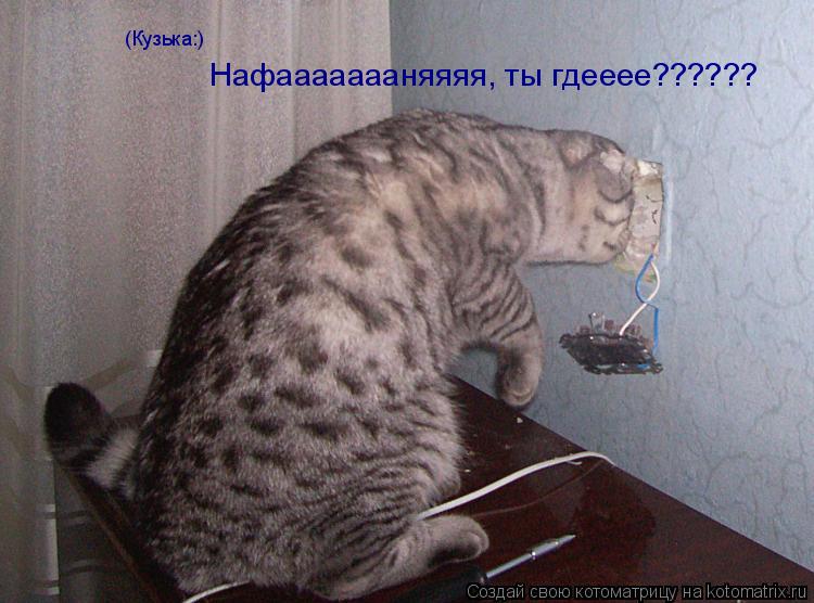 Котоматрица: Нафаааааааняяяя, ты гдееее?????? (Кузька:)