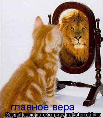Котоматрица: главное вера