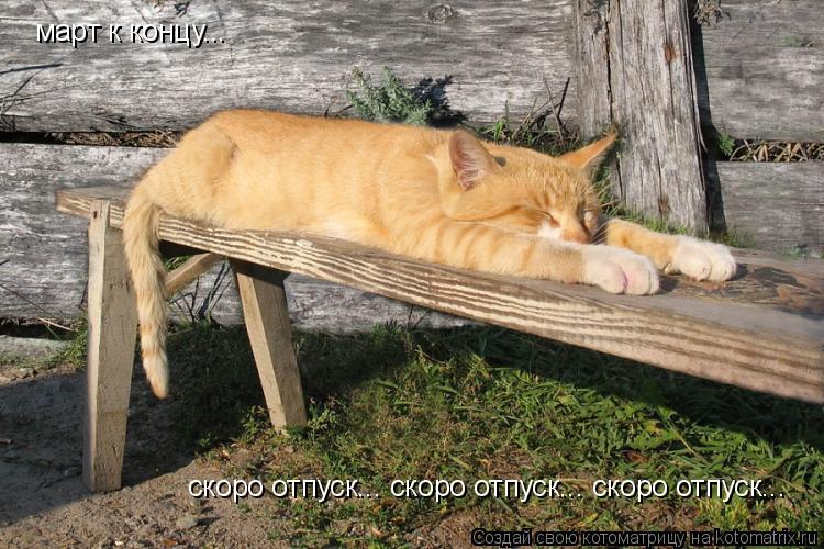 Котоматрица: март к концу...  скоро отпуск... скоро отпуск... скоро отпуск...