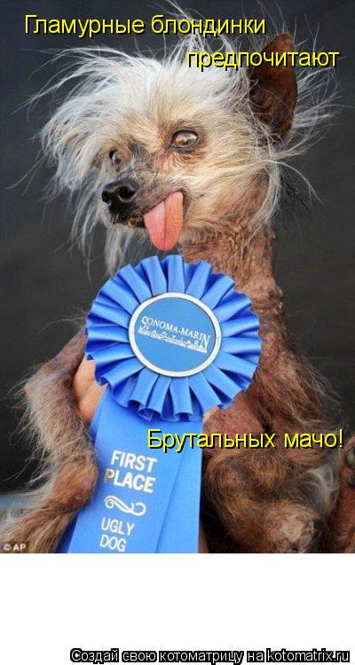 Котоматрица: Гламурные блондинки  предпочитают  Брутальных мачо!