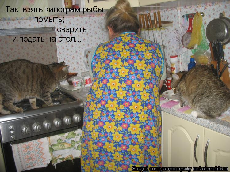 Котоматрица: -Так, взять килограм рыбы; помыть; сварить; и подать на стол...