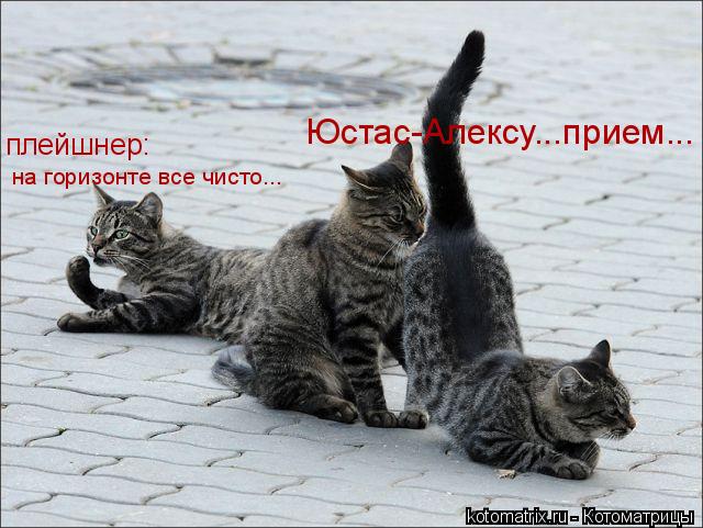Котоматрица: Юстас-Алексу...прием... плейшнер: на горизонте все чисто...