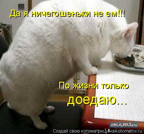 Котоматрица: Да я ничегошеньки не ем!!!  По жизни только доедаю...