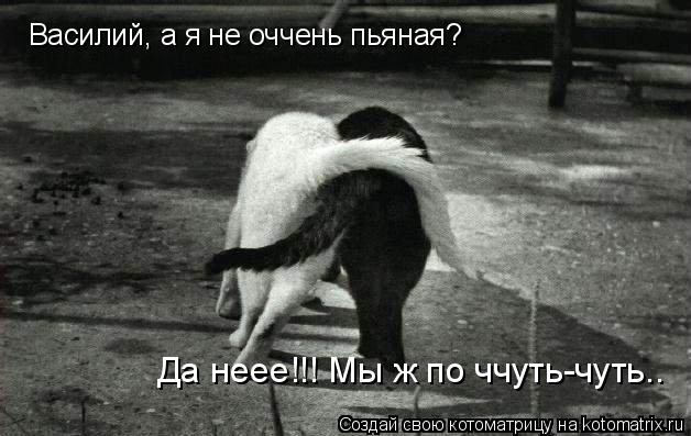 Котоматрица: Василий, а я не оччень пьяная? Да неее!!! Мы ж по ччуть-чуть..