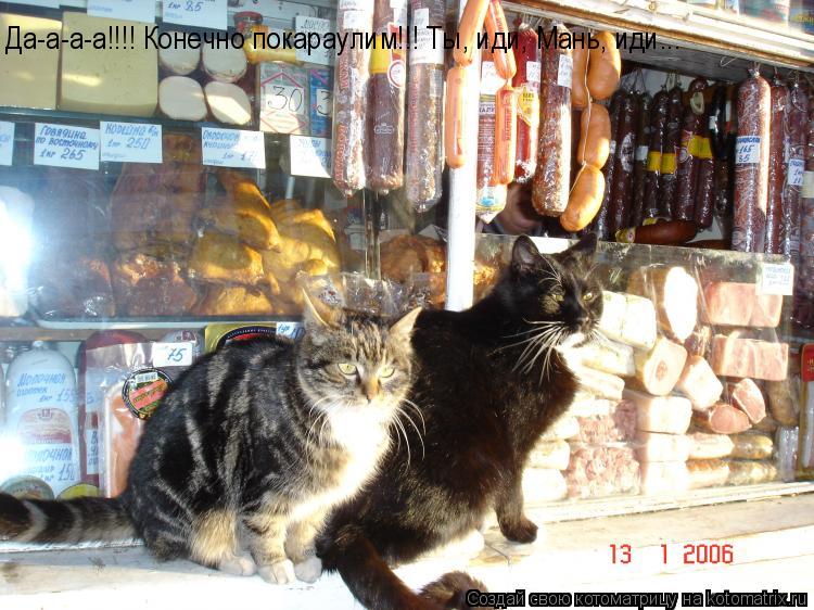 Котоматрица: Да-а-а-а!!!! Конечно покараулим!!! Ты, иди, Мань, иди...