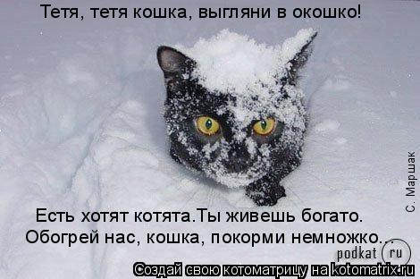 Котоматрица: Обогрей нас, кошка, покорми немножко... Тетя, тетя кошка, выгляни в окошко! Есть хотят котята.Ты живешь богато. С. Маршак