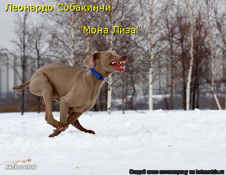 Котоматрица: Леонардо Собакинчи "Мона Лиза"