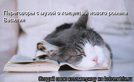 Котоматрица: Переговоры с музой о концепции нового романа Василия