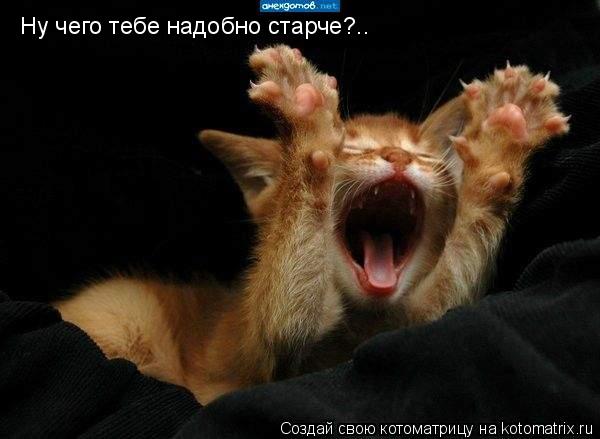Котоматрица: Ну чего тебе надобно старче?..