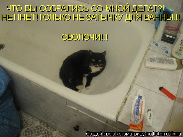 Котоматрица: ЧТО ВЫ СОБРАЛИСЬ СО МНОЙ ДЕЛАТ?! НЕТ!НЕТ!ТОЛЬКО НЕ ЗАТЫЧКУ ДЛЯ ВАННЫ!!! СВОЛОЧИ!!!