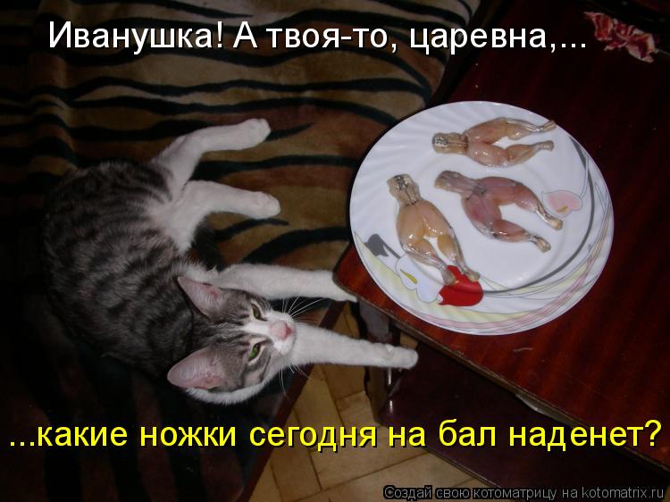 Котоматрица: Иванушка! А твоя-то, царевна,... ...какие ножки сегодня на бал наденет?