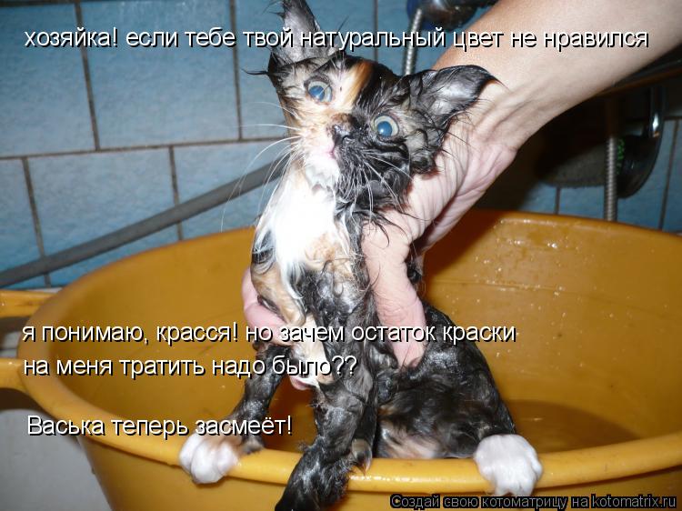 Котоматрица: хозяйка! если тебе твой натуральный цвет не нравился я понимаю, красся! но зачем остаток краски  на меня тратить надо было?? Васька теперь за